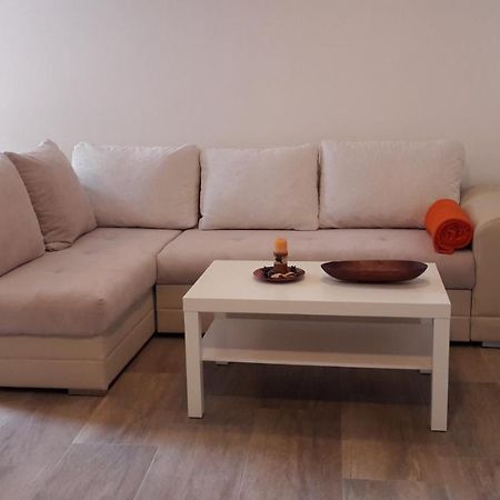 Apartment Nena- Apartman Sa Posebnim Ulazom U Prizemlju, Terasom I Zelenom Okucnicom Rakotule Bagian luar foto