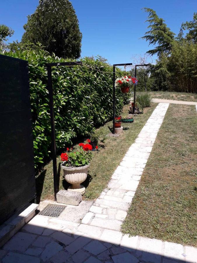Apartment Nena- Apartman Sa Posebnim Ulazom U Prizemlju, Terasom I Zelenom Okucnicom Rakotule Bagian luar foto