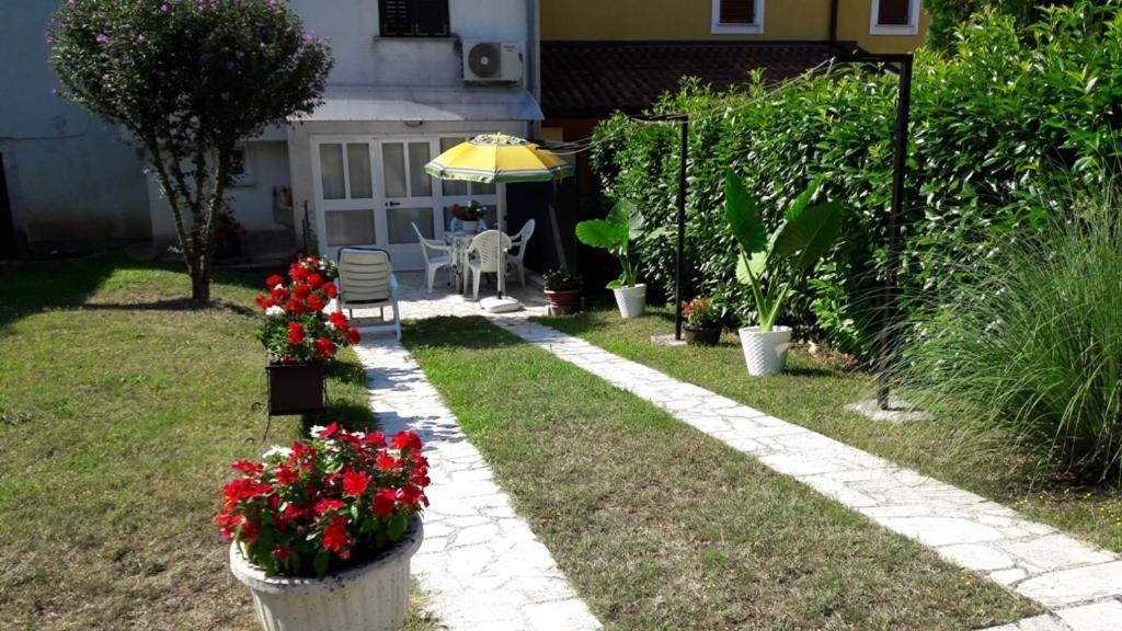 Apartment Nena- Apartman Sa Posebnim Ulazom U Prizemlju, Terasom I Zelenom Okucnicom Rakotule Bagian luar foto